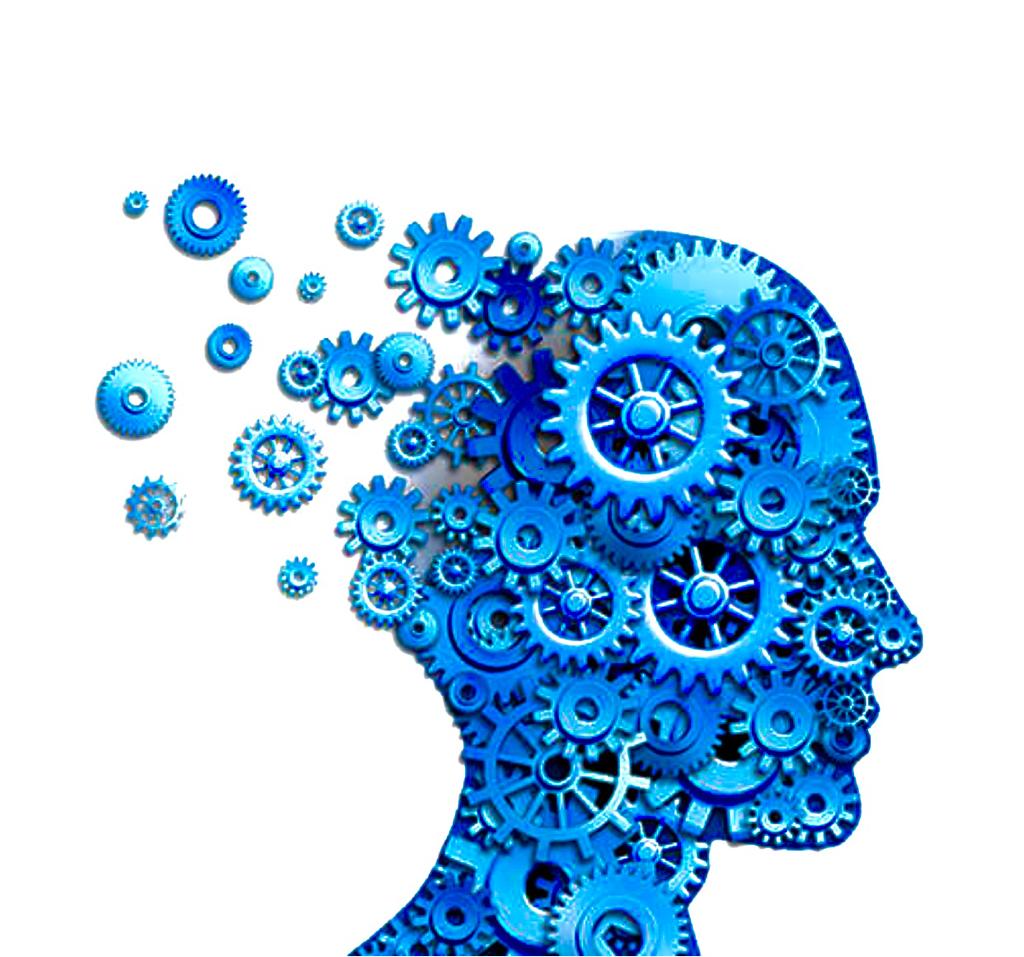 Deal with Schizophrenia - Achieving Stable Mental Health Faster