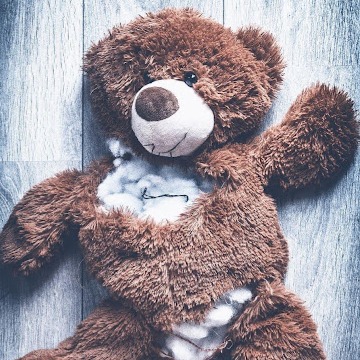 Out of the Fog - My Journey Through Drug Induced Schizophrenia