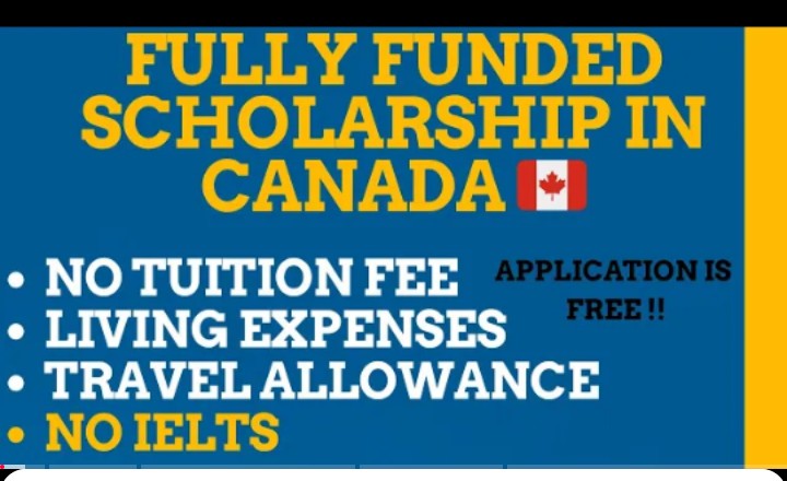 Download Universities currently Given Fully Funded Scholarships With Free Applications in  the USA, Canada and UK