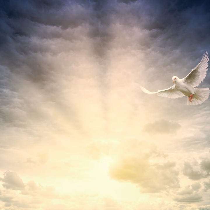 Manifest Like Heaven: Soulful Daily Affirmations for Healing, Alignment & Spiritual Power