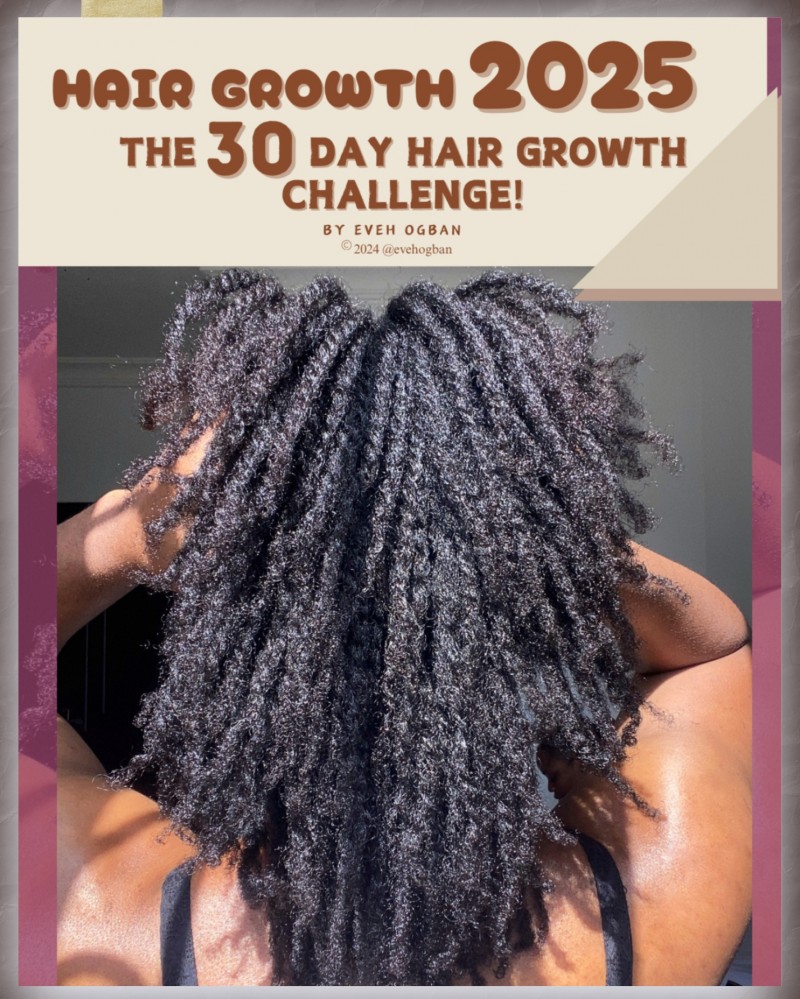 Buy Hair Growth 2026: The 30 Day Hair Growth Challenge! by Eveh Ogban ...