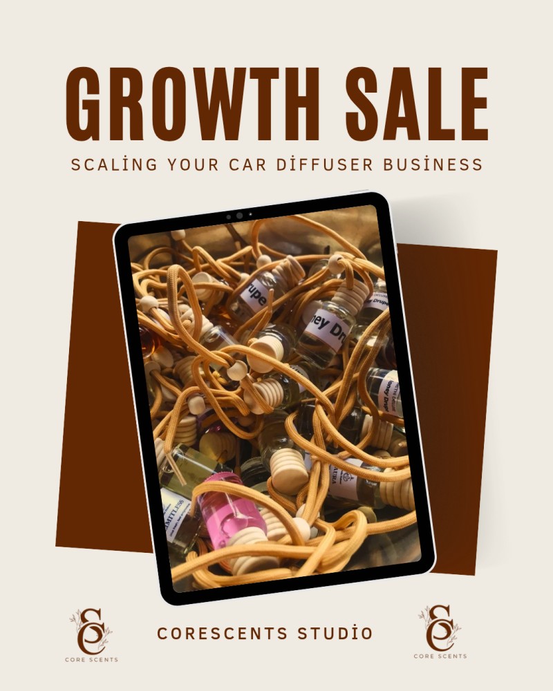 Growth Sales Guide (Scaling car diffuser to profit)