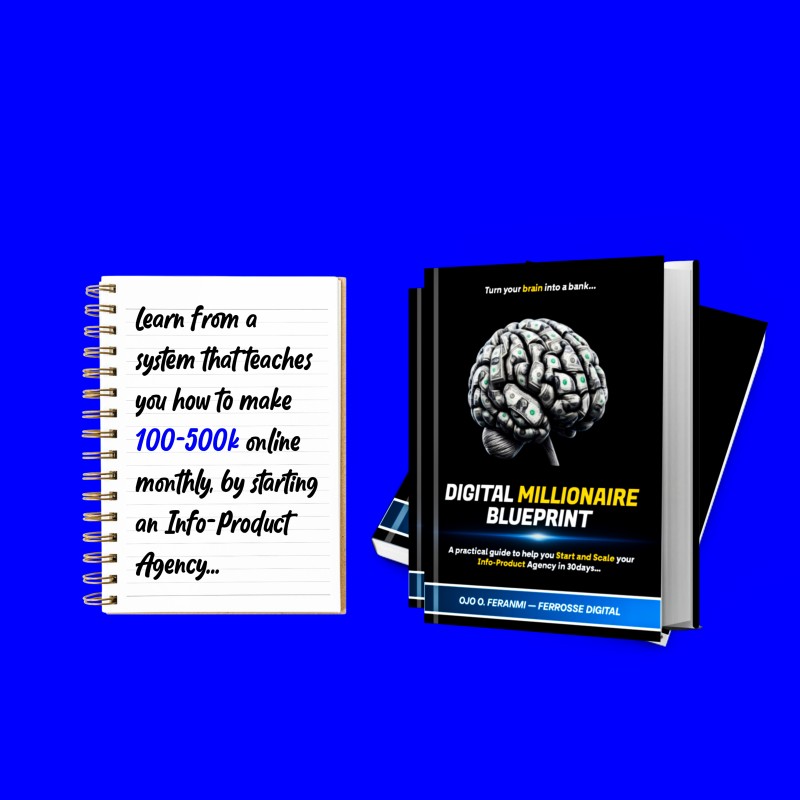 DIGITAL MILLIONAIRE BLUEPRINT [DMB]