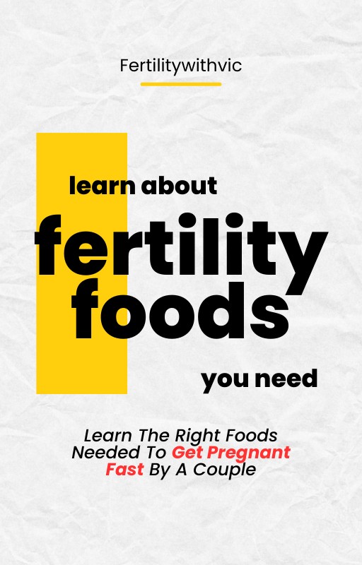 Fertility Foods Ebook