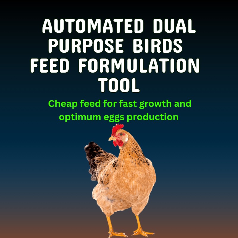 buy-automated-dual-purpose-chicken-feed-formulation-excel-tool-by