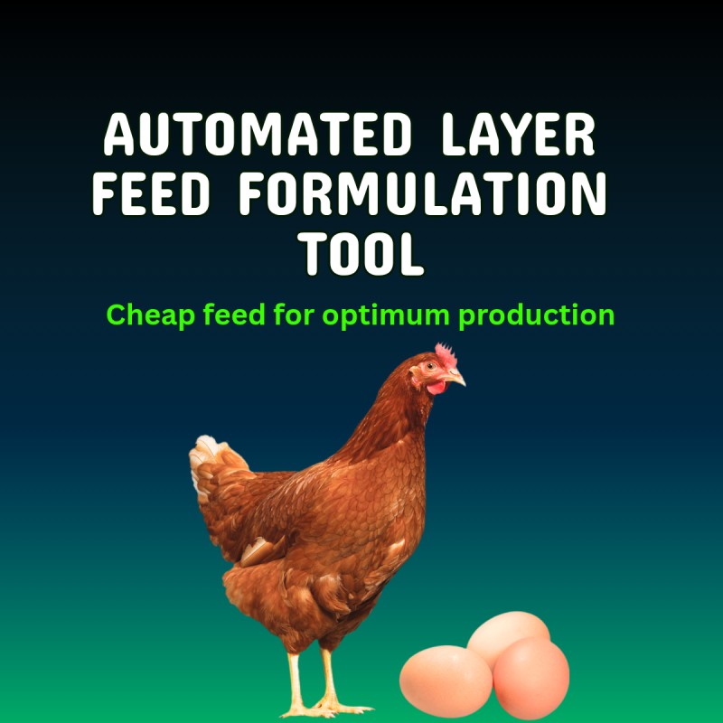 Automated Layer Feed Formulation Excel Tool (All Stages)