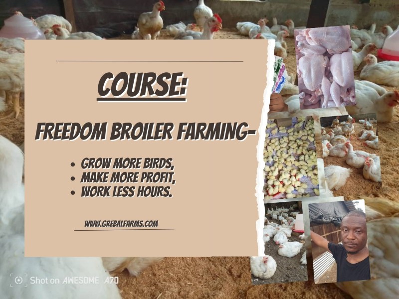 FREEDOM BROILER FARMING: Grow More Birds, Make More Profit, Work Less Hours...