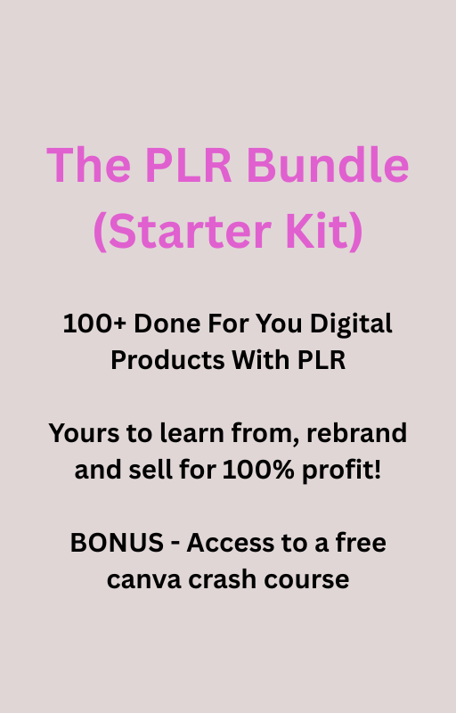 PLR BUNDLE STARTER KIT