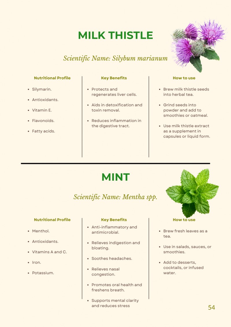 The Ultimate Guide To Superfoods