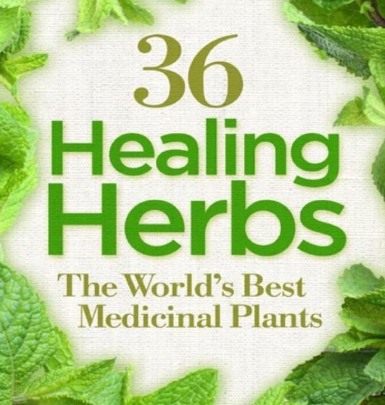 36 Healing Herbs: The World's Most Potent Medicinal Plants.