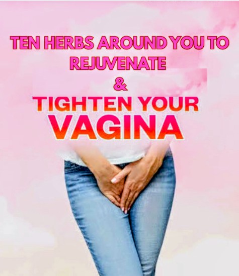 THE VAGINA TIGHTENING MANUAL Natural Way To Tighten And Strengthen Your Loosed Vagina In 2 Weeks With List of 10 Natural Herbs