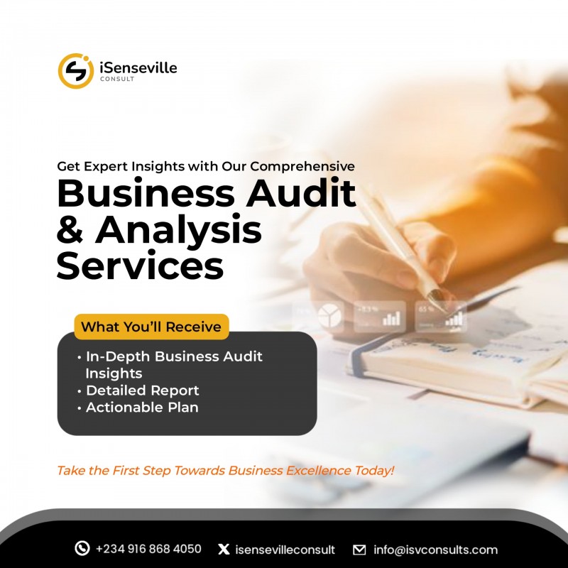 Business Structure Audit & Analysis