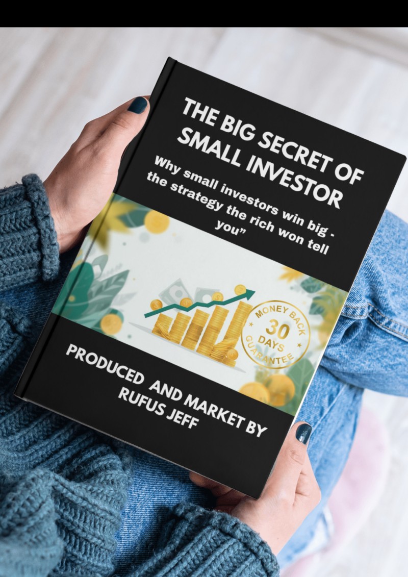THE BIG SECRET OF SMALL INVESTOR