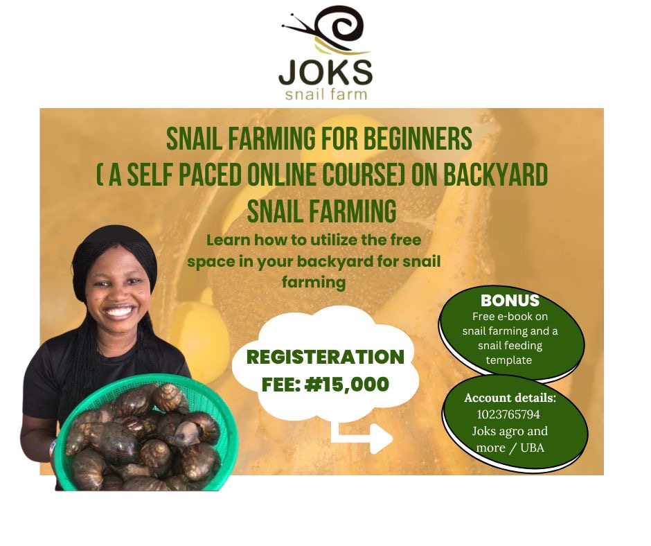 Backyard snail farming course for beginners