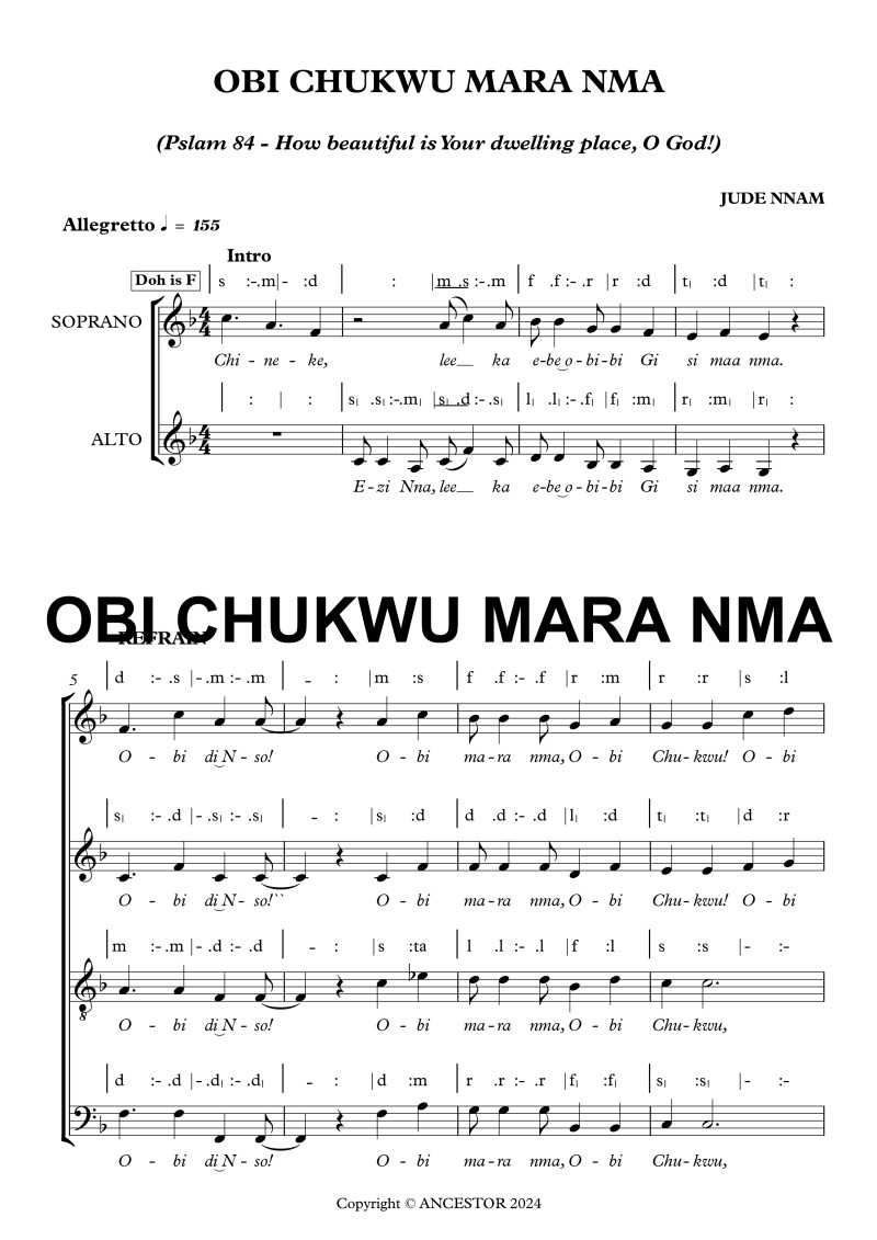 OBI CHUKWU MARA NMA