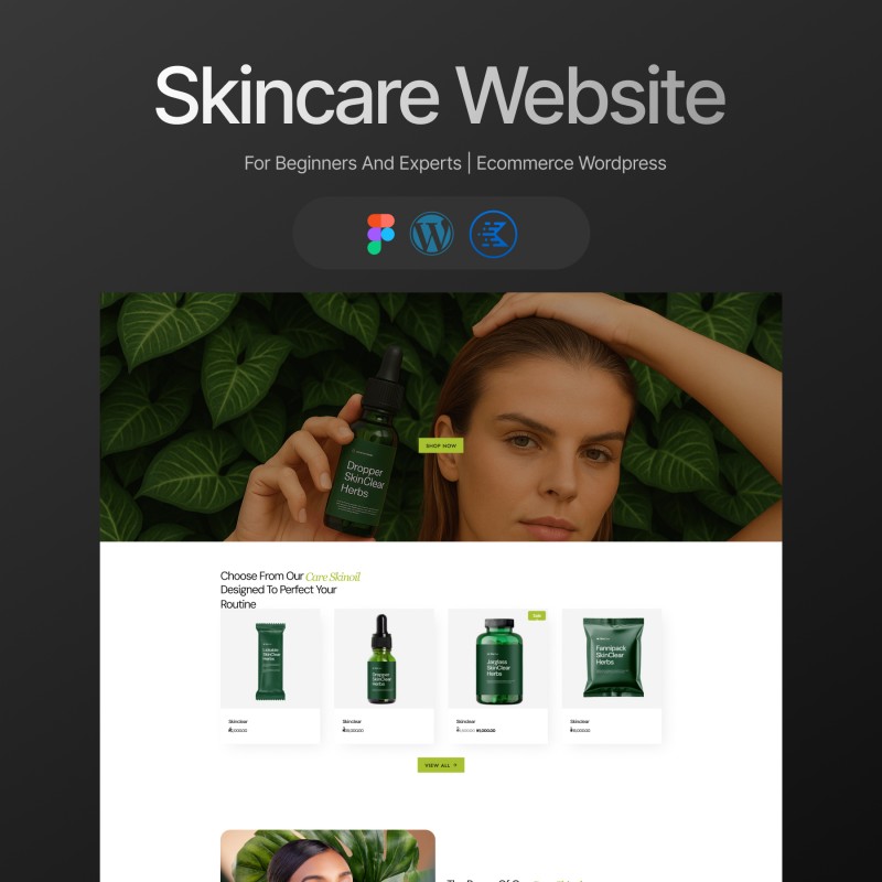 Skinclear website (WordPress templates)