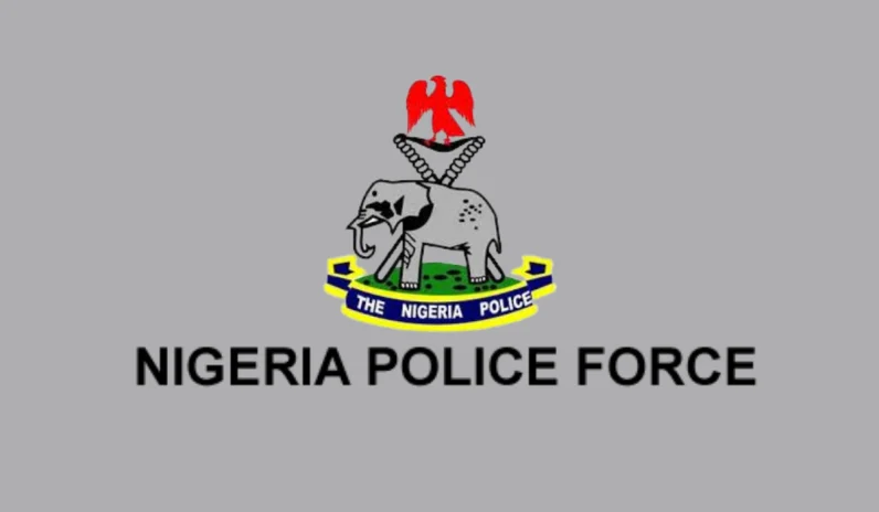 Let's Process Your Non Resident Police Clearance Certificate in Nigeria