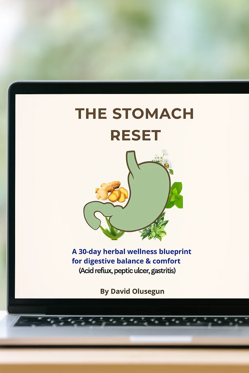 The Stomach Reset. copy