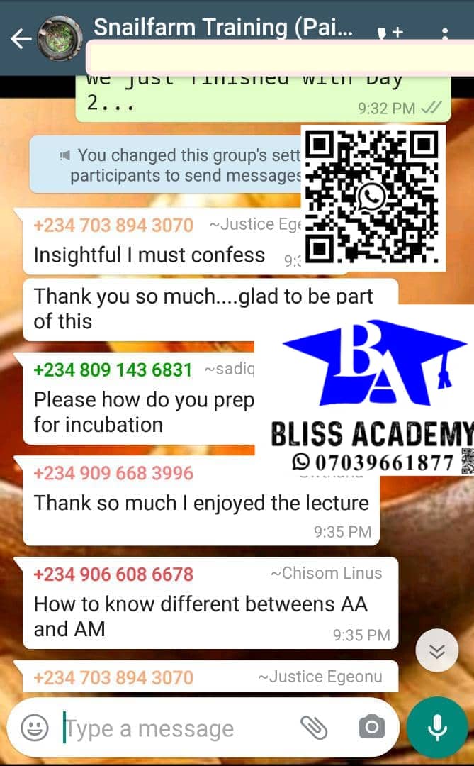 Customer review 6