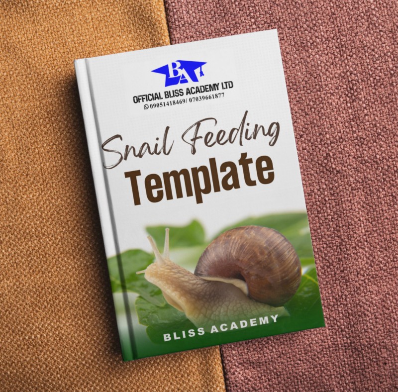 SNAIL FEEDING TEMPLATE
