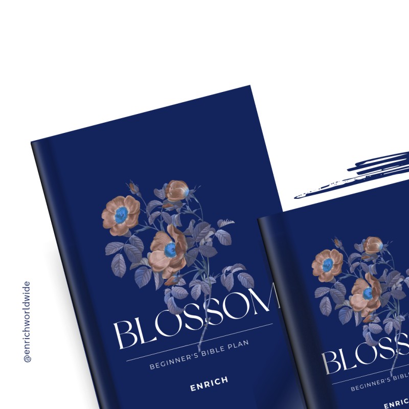 Blossom Bible Plan