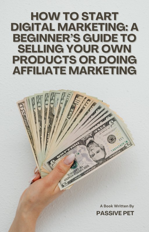 Get HOW TO START DIGITAL MARKETING; A BEGINNER'S GUIDE by Somkenechukwu ...