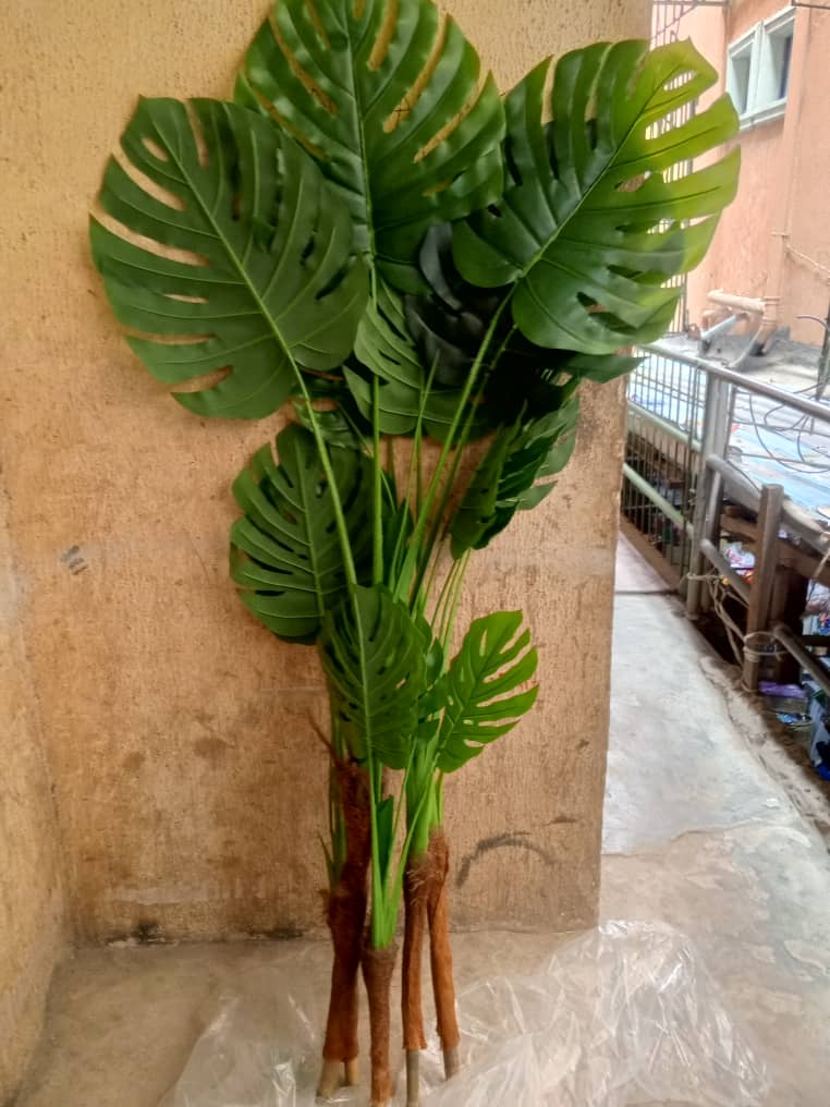 5-1 Monsetra Artifical plant with live treeback