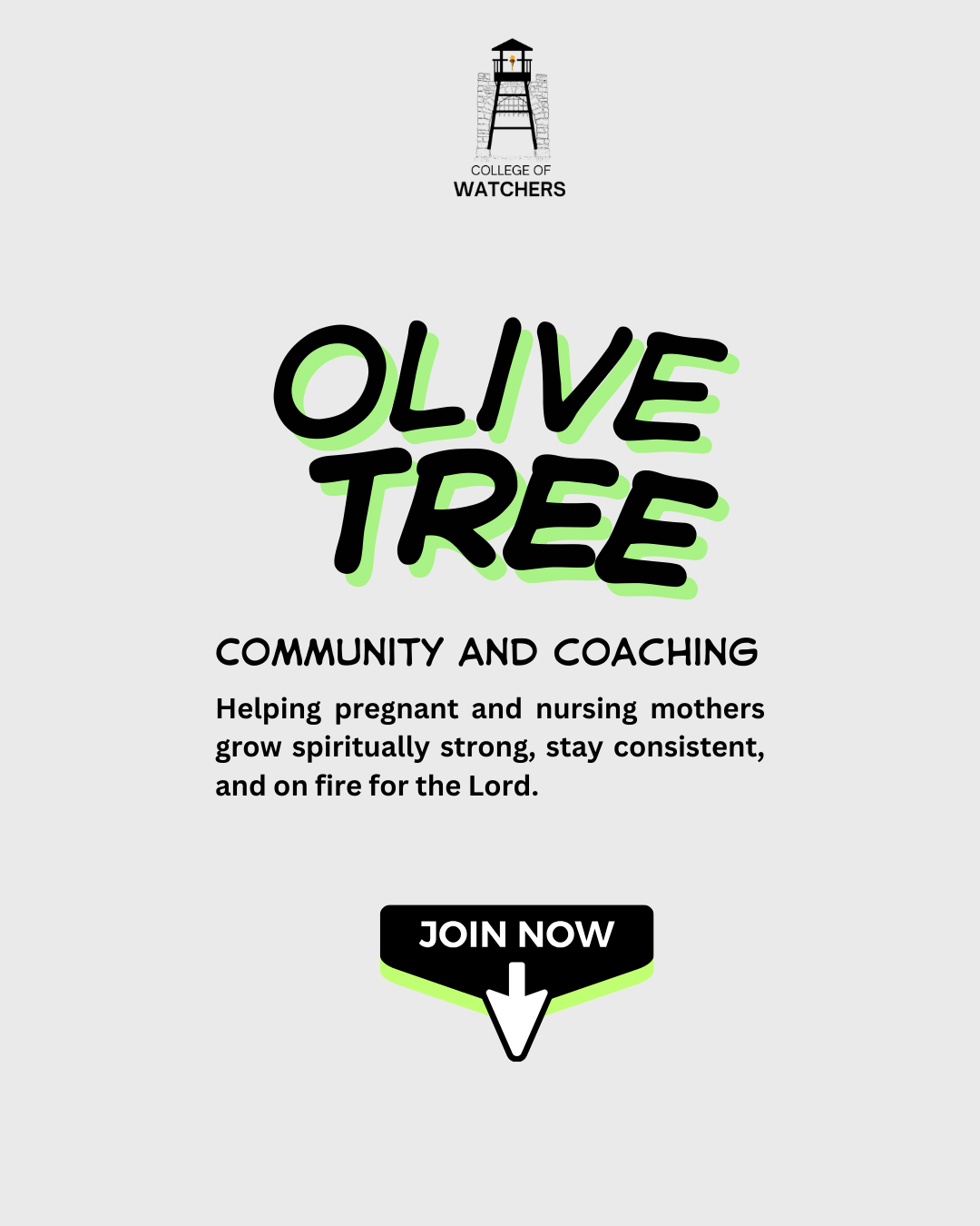 Olive Tree