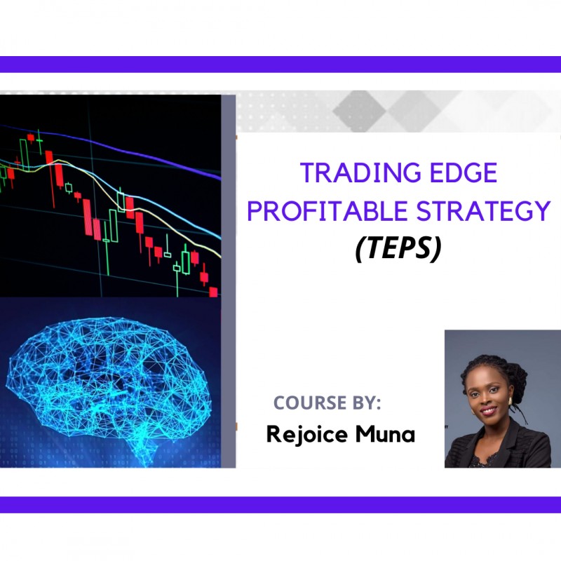 Trading Edge Profitable Strategy (TEPS) Course