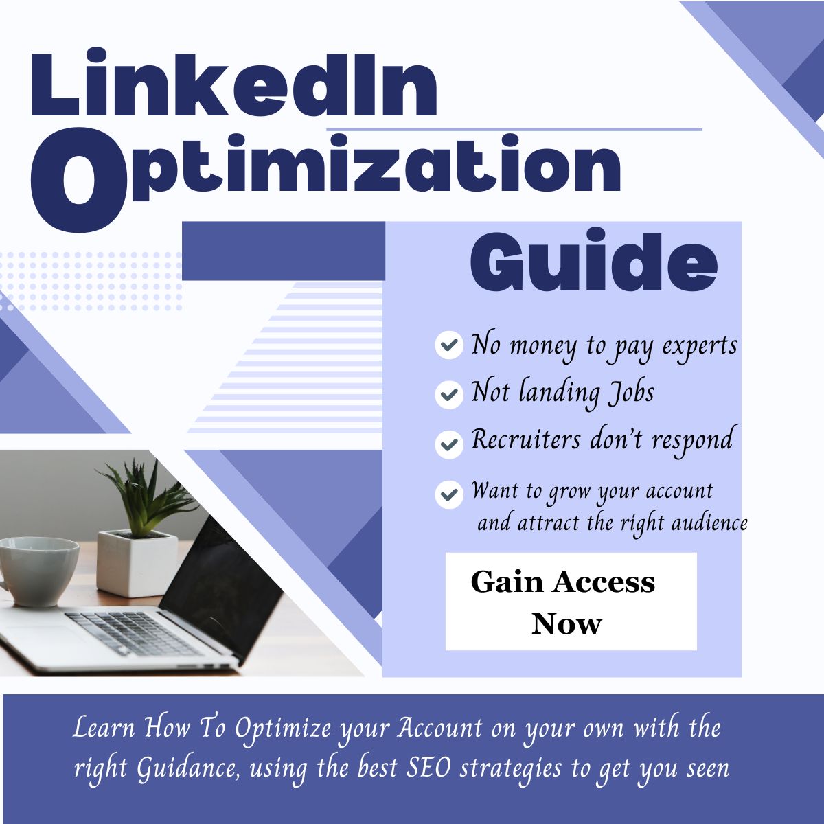 LinkedIn Optimization Guide