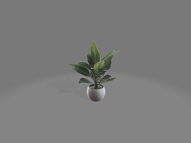 Indoor plant