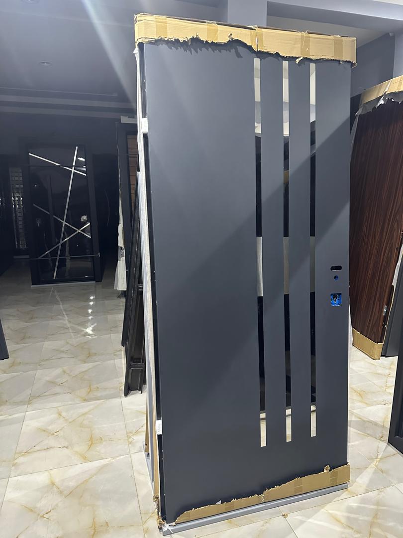 Modern Steel Security Door with Vertical Chrome Design