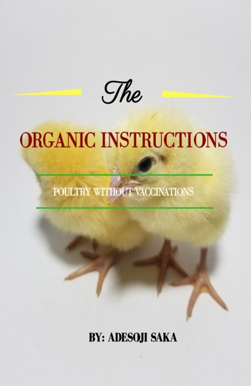 Introduction to Organic Poultry Masterclass