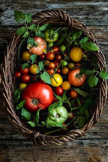 Fertility/ Fibroids meal plan