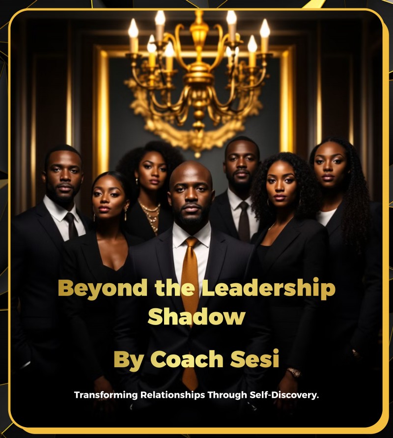 The Mindful Leader: The Workplace Series:The Business Leader Shadow