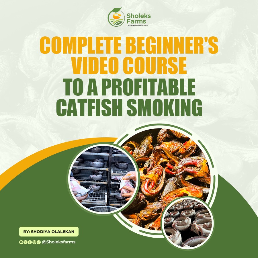 COMPLETE BEGINNER'S VIDEO COURSE TO A PROFITABLE CATFISH SMOKING