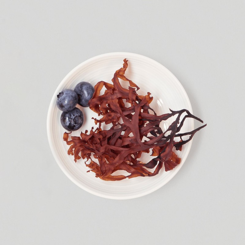 Wellosophy Astaxanthin & bilberry extract