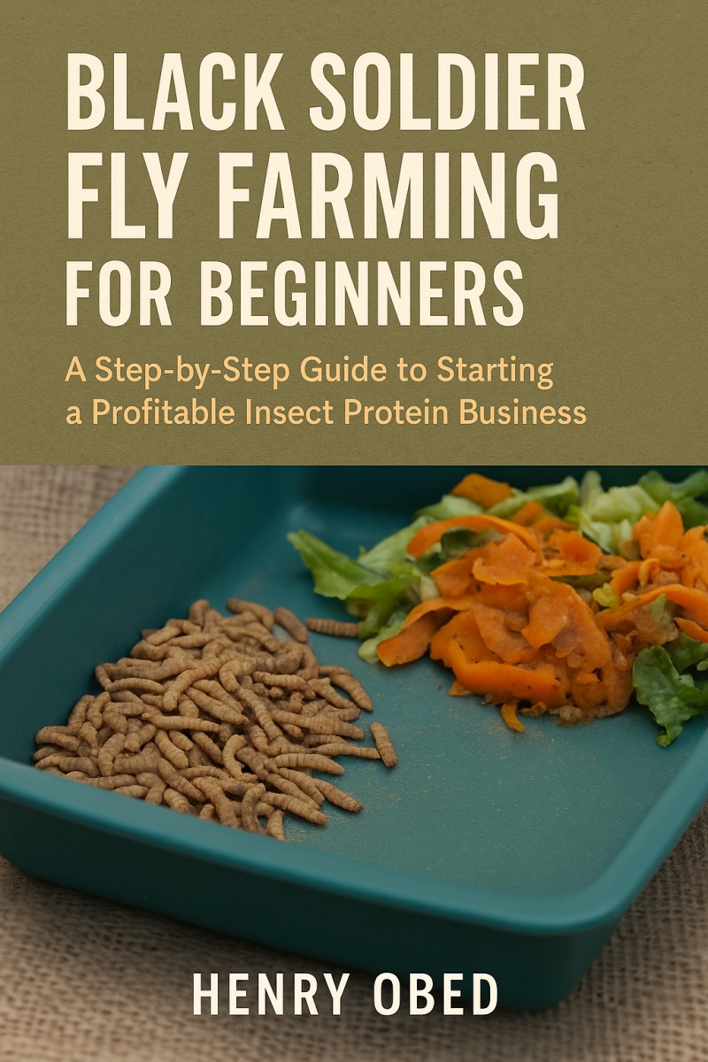Black Soldier Fly Farming for Beginners: A Step-by-Step Guide to Starting a Profitable Insect Protein Business
