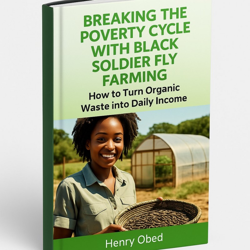 Breaking the Poverty Cycle with Black Soldier Fly Farming: How to Turn Organic Waste into Daily Income