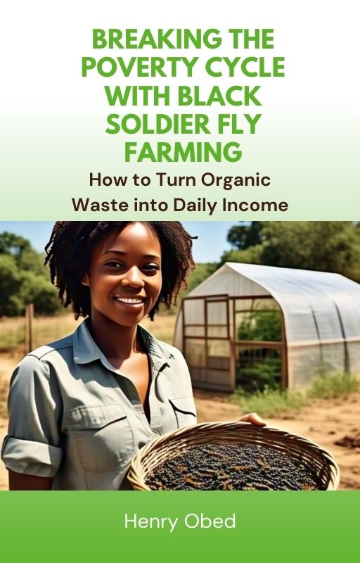 Breaking the Poverty Cycle with Black Soldier Fly Farming: How to Turn Organic Waste into Daily Income