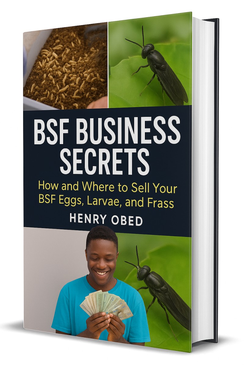 BSF Business Secrets: How and Where to Sell Your BSF Eggs, Larvae, and Frass