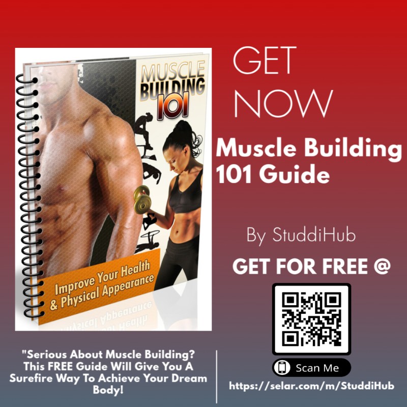 Muscle Building 101