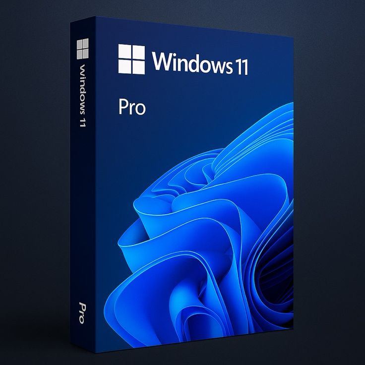 WINDOWS 11 PRO