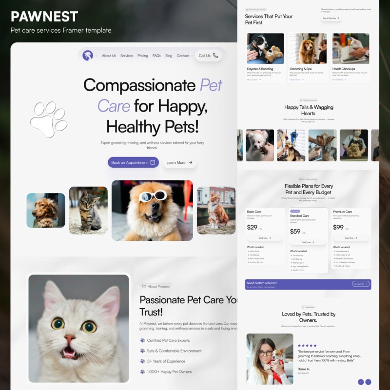 Pawnest - Website Template For Pet Care Services