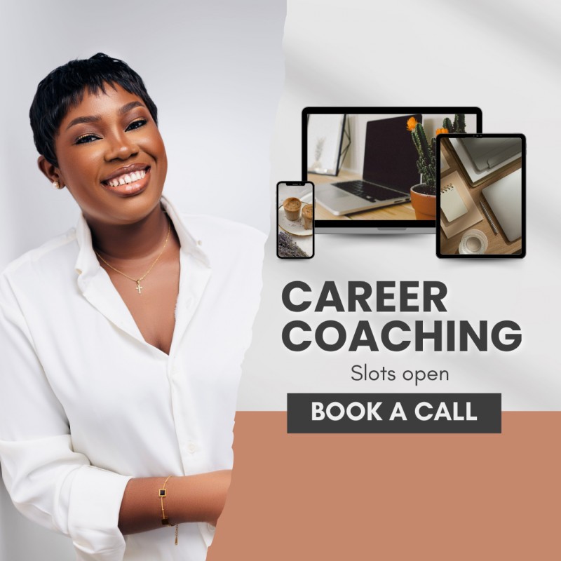 The Remote Career Reset – 1:1 Coaching