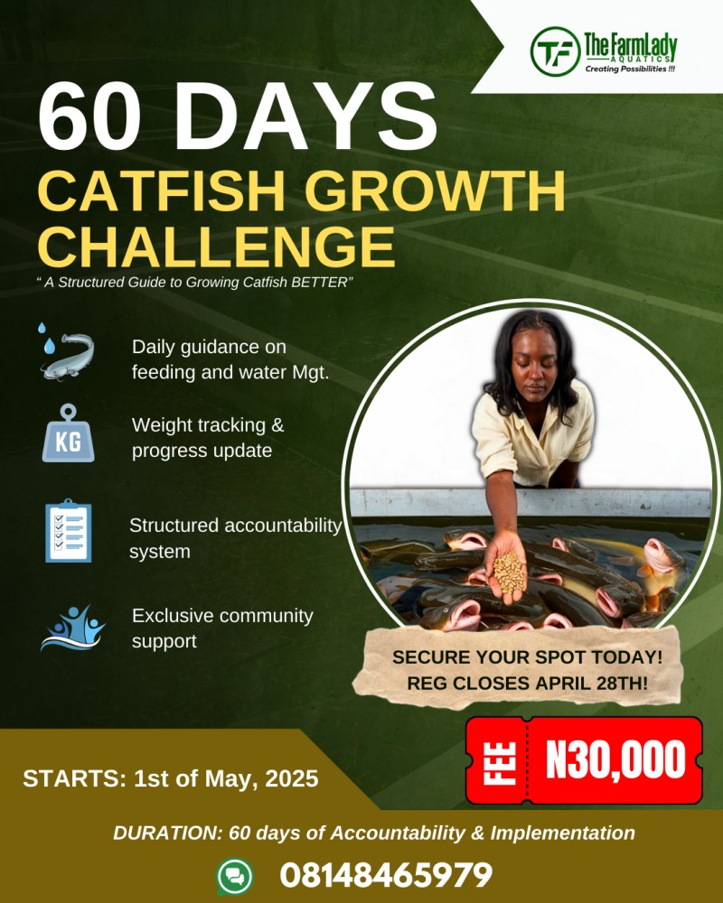 60 CATFISH GROWTH CHALLENGE WITH FARMLADY