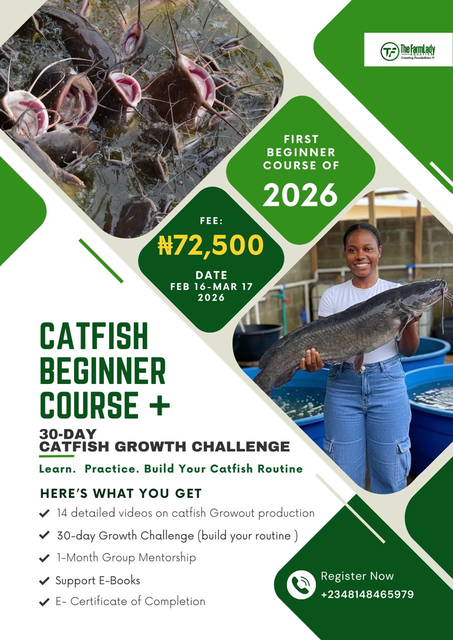 CATFISH BEGINNER COURSE + 30 DAYS CHALLENGE