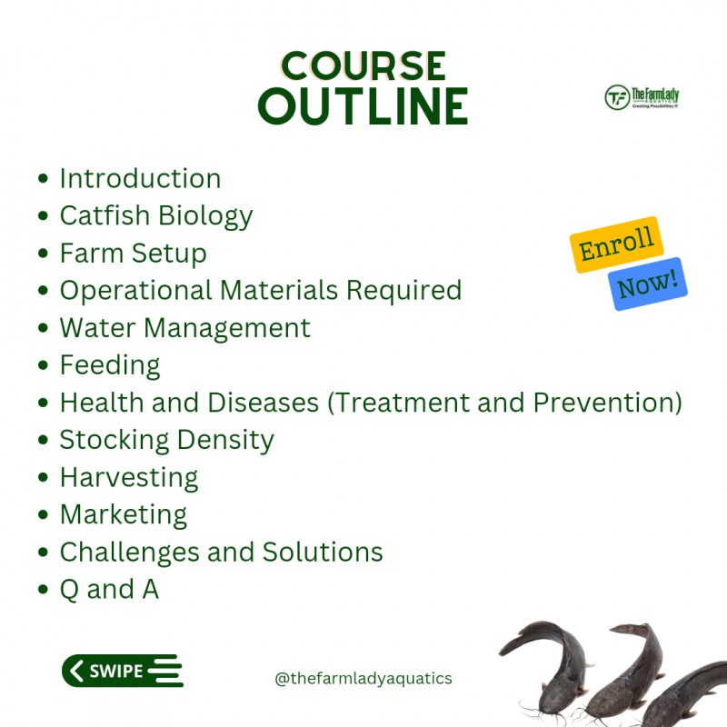 THE ULTIMATE GUIDE TO CATFISH GROWOUT PRODUCTION