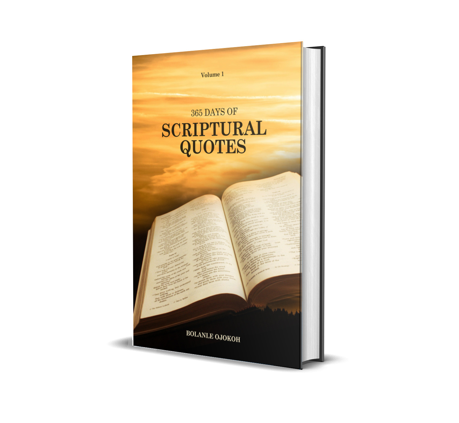 365 Days of Scriptural Quotes (Volume 1)
