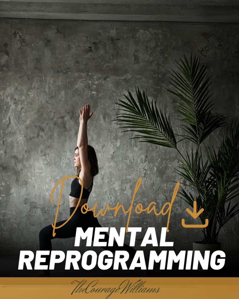 Mental Reprogramming Get MENTAL REPROGRAMMING by Courage Williams on Selar